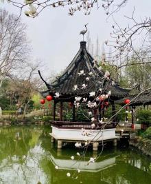 醉白池10