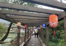 醉白池14