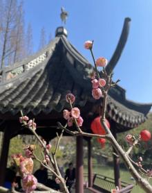 醉白池17