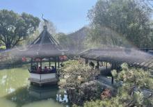 醉白池19