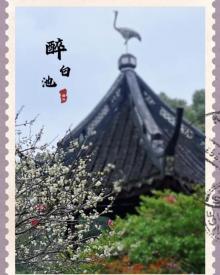 醉白池24