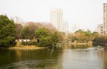 鲁迅公园4