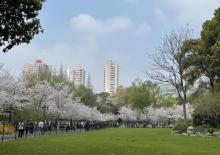 鲁迅公园26