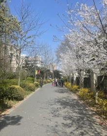 鲁迅公园23
