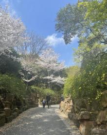 鲁迅公园29