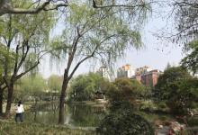 长风公园16