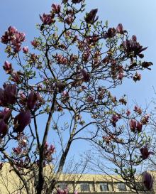 长风公园20
