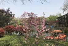长风公园18