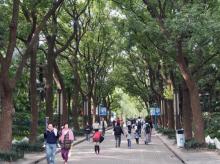 长风公园1