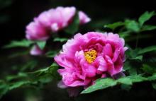 长风公园14