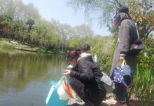长风公园11