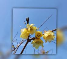 长风公园30