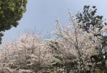 长风公园15