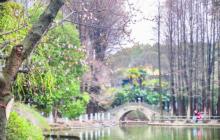川沙公园3