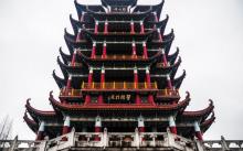 川沙公园4