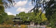 川沙公园10