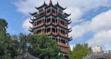 川沙公园11