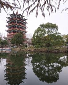 川沙公园13