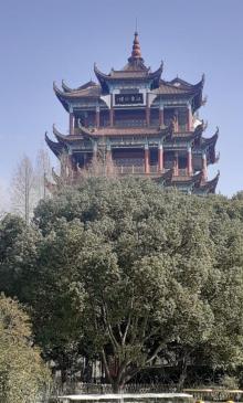 川沙公园15
