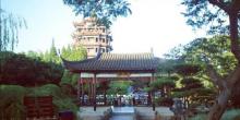川沙公园19