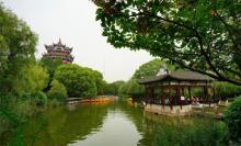 川沙公园22