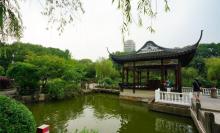 川沙公园23