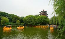 川沙公园24