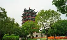 川沙公园25