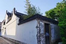 川沙公园27