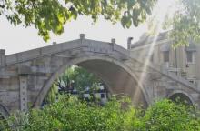 川沙公园29