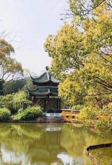 川沙公园35