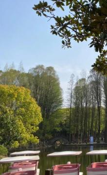 川沙公园36