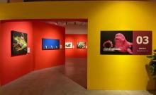 「完整版」国家地理经典影像大展-上海站5