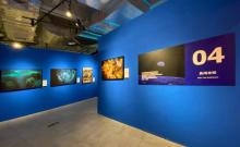 「完整版」国家地理经典影像大展-上海站9
