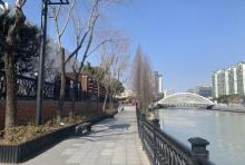 蝴蝶湾绿地1