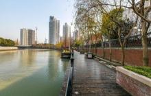 蝴蝶湾绿地7