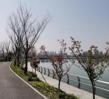 蝴蝶湾绿地8