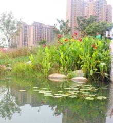 彩虹湾公园22