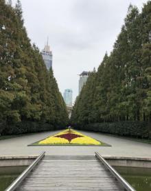 巨鹿路12