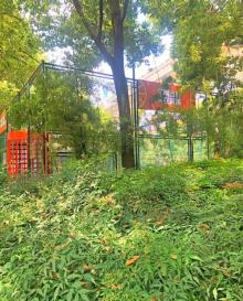 巨鹿路30
