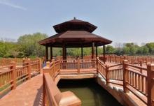 顾村公园20
