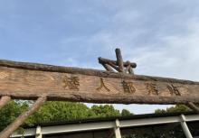 顾村公园22