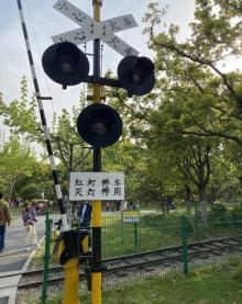 顾村公园21