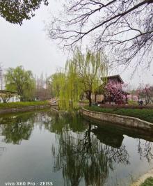 闸北公园11