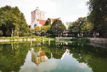 闸北公园13