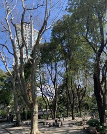 人民公园12