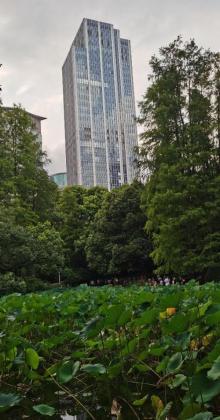 人民公园29