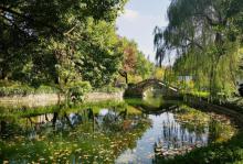 闸北公园22