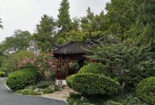 闸北公园34