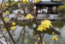 真如公园24
